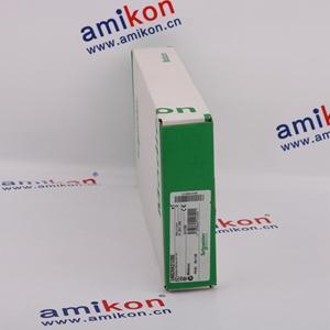 SCHNEIDER ELECTRIC TSXAEY420 | Analog input module